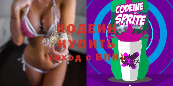сатива Волоколамск