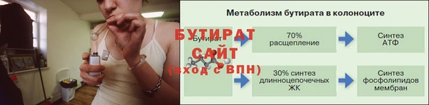 сатива Волоколамск
