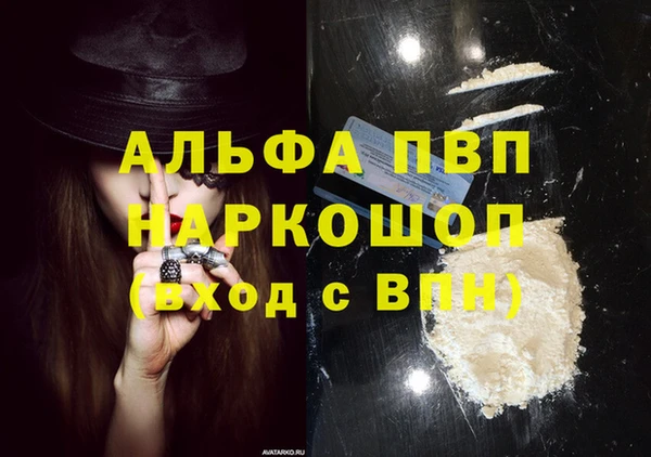 сатива Волоколамск
